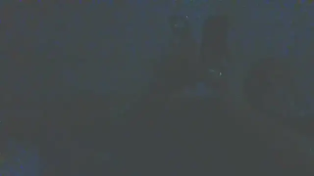 timothygonterman webcam