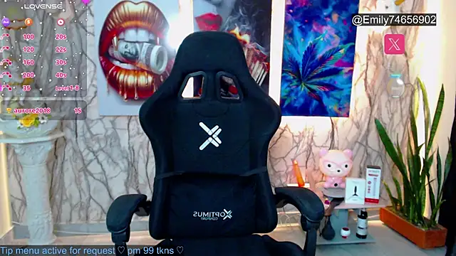 EmiTranny webcam