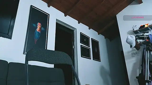 SilvaBranko webcam