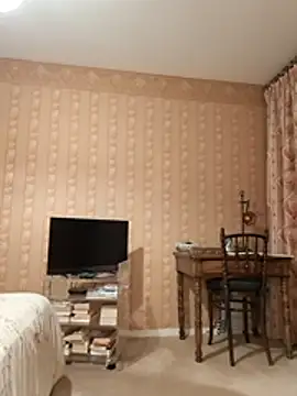 Perv10 webcam