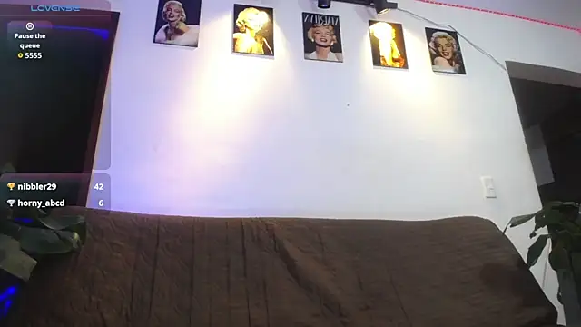 shellsy_hans webcam