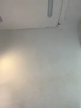 _Pamela_1