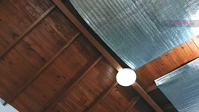 SilvaBranko webcam