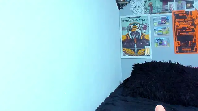 XBODTRIIPX webcam