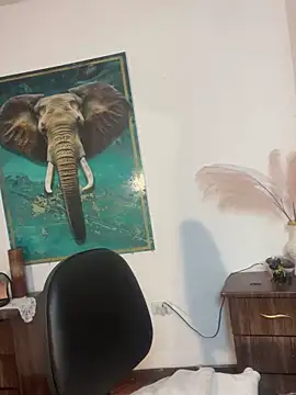 alisaa_jhons1 webcam