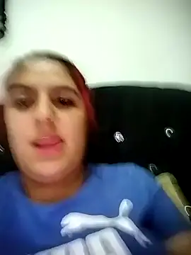 Modèle: Hammy_st4