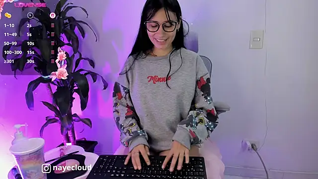 NayeCloud webcam