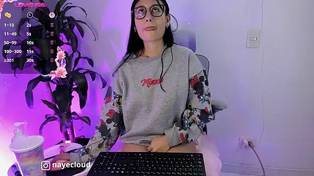 NayeCloud webcam