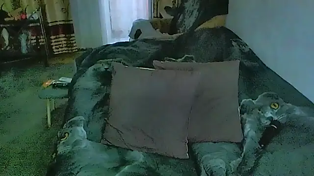 sex2 webcam