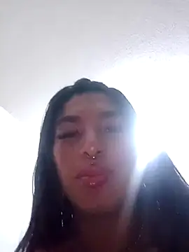 MeelFox webcam
