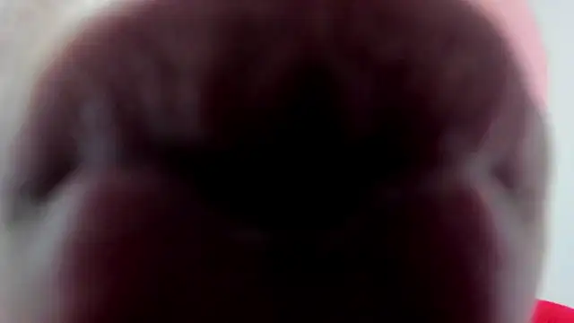 FrannBoy webcam