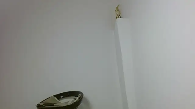 Twinkcock22 webcam