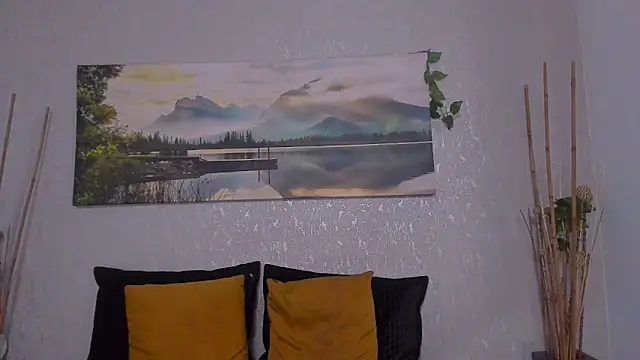 Tyler_durten webcam