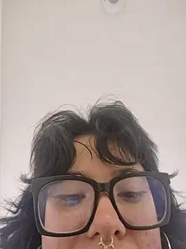 Neciaa webcam