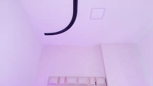 _carolina_fox webcam