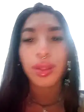 MeelFox webcam