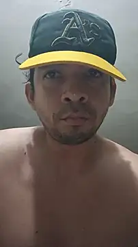 Preview of paladito01