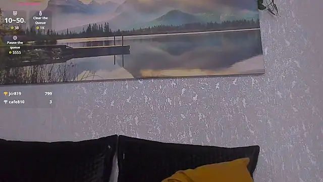Tyler_durten webcam