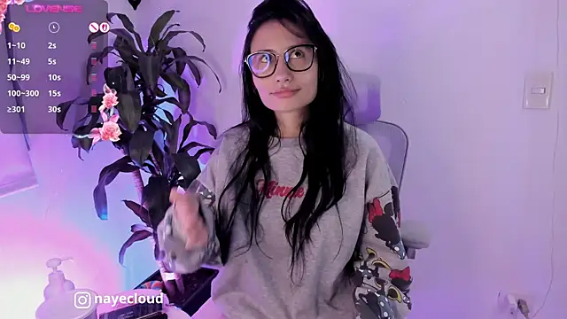 NayeCloud webcam