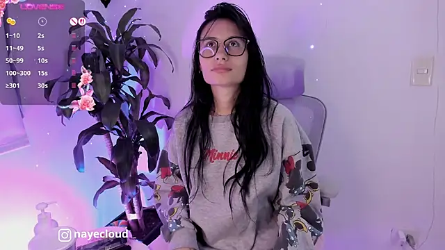 NayeCloud webcam