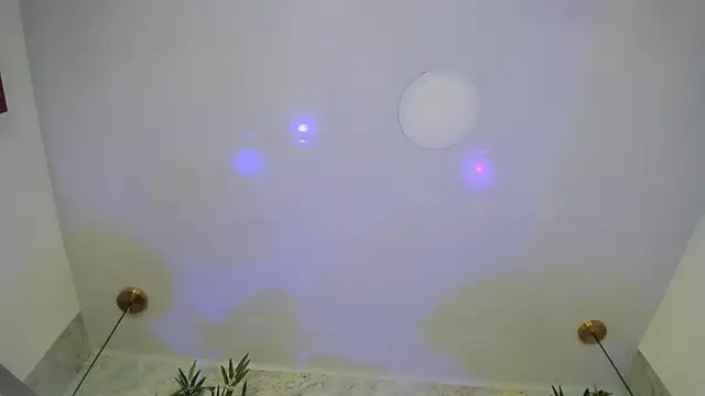 LittleeJaz webcam