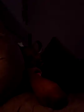 Preview of luxvibes