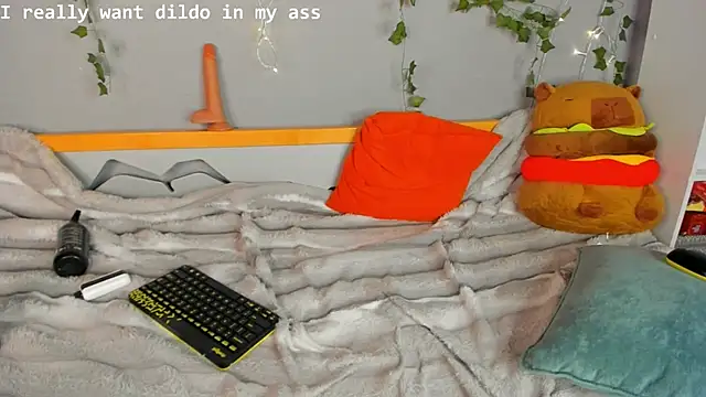 SolarFringe webcam