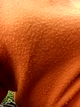 Hoa-tuylip webcam