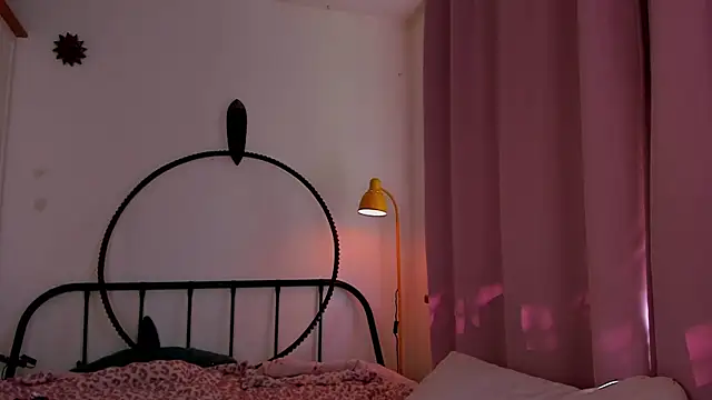 LiyaFly webcam