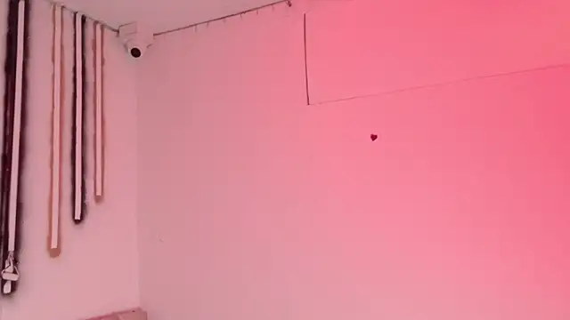 aly_n_sebas webcam