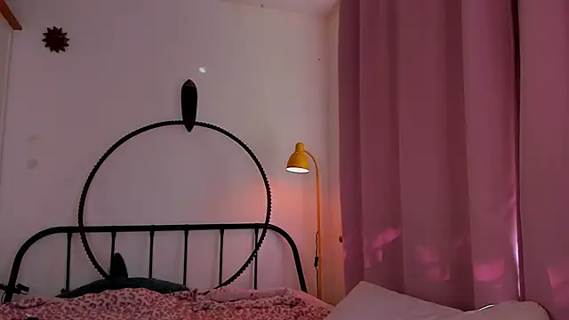 LiyaFly webcam