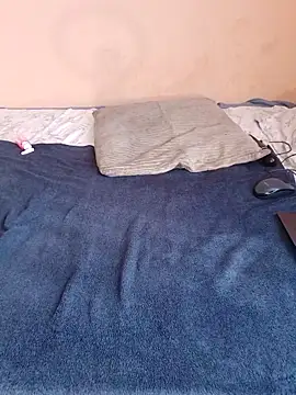 lineras webcam