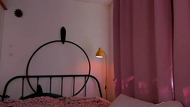 LiyaFly webcam