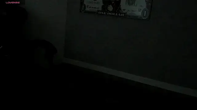 Lisa_Hummi webcam