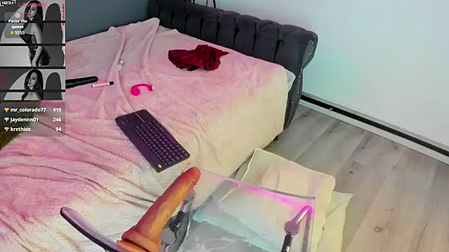 Abbyy_stone webcam