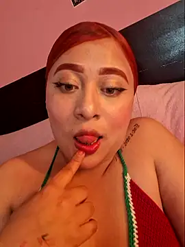 venuscopper webcam