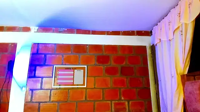 AkiraHeat webcam