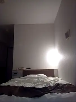 Japanesemask webcam