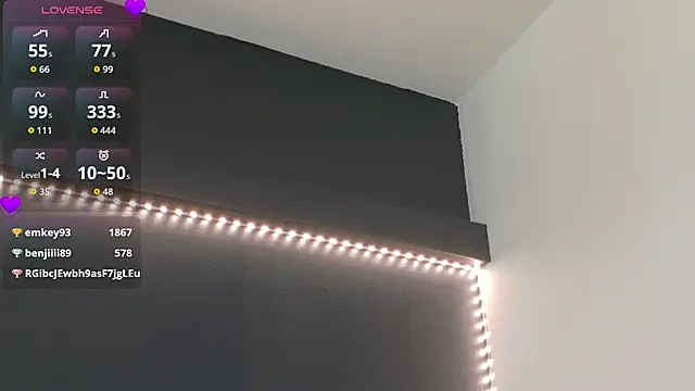 Anaayss_ webcam