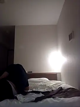 Japanesemask webcam