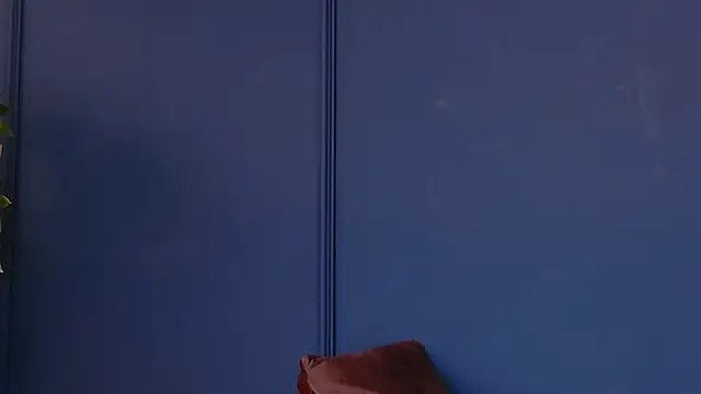DeeaVIP webcam