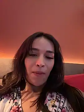 DarkDesin webcam