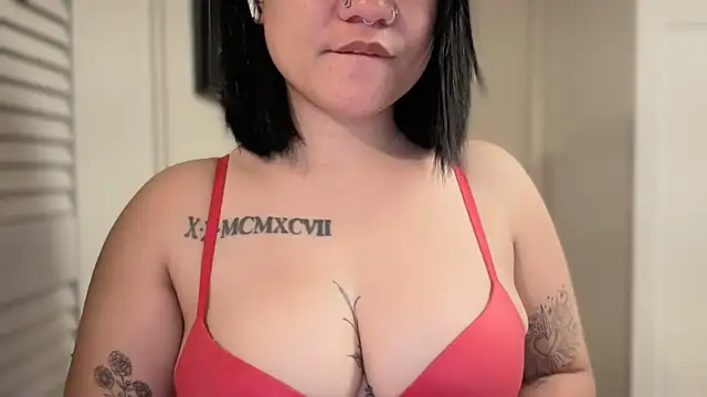 yourvibedealer webcam