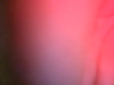 Xoc8_ webcam