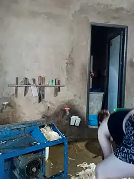 yula-bi webcam