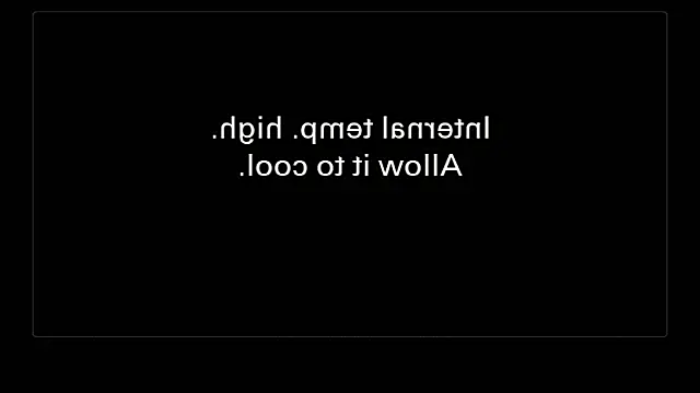 EvaBloomm webcam