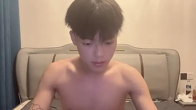 LY-0101 webcam