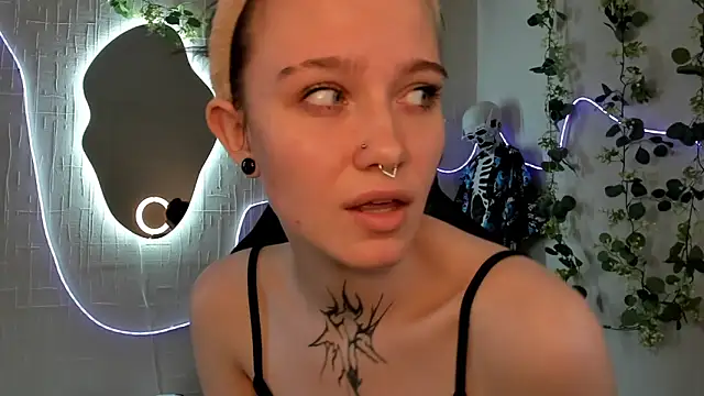 Elastikisss webcam