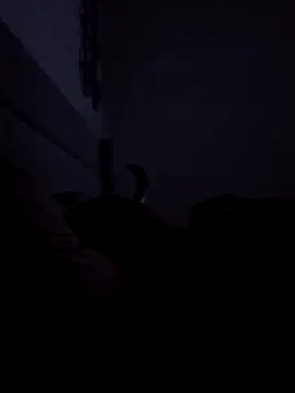 Preview of luxvibes