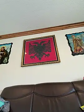 hailzeffn webcam